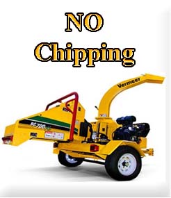 no chipping icon